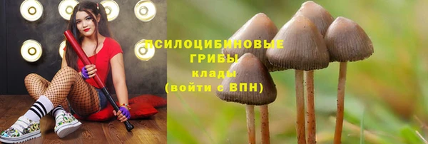 амф Зерноград