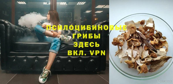 амф Зерноград