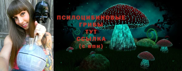 прущая мука Зеленокумск