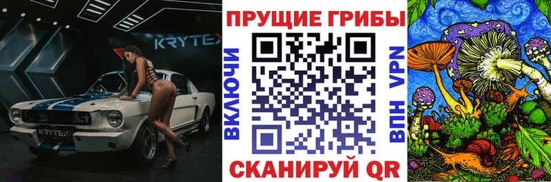 Псилоцибиновые грибы GOLDEN TEACHER  Купить  Алагир 