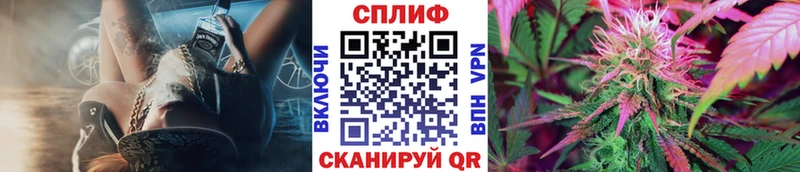 Конопля конопля  Купить  Алагир 